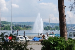 121